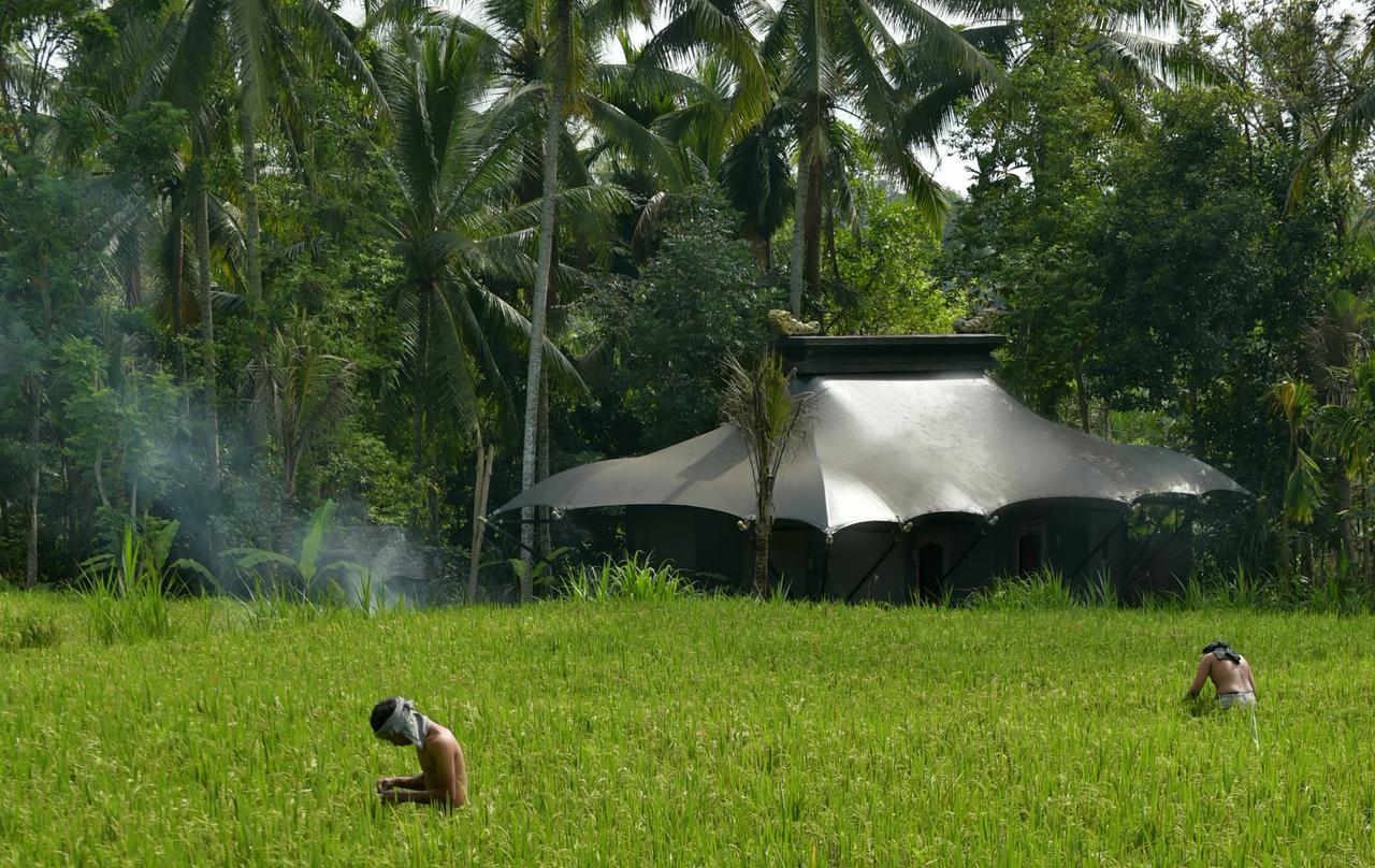 Capella Ubud, Bali Eksteriør bilde
